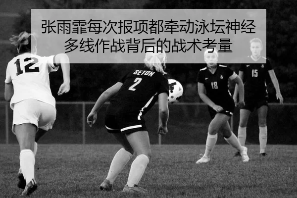 zhang-yu-fei-mei-ci-bao-xiang-dou-qian-dong-yong-tan-shen-jing-duo-xian-zuo-zhan-bei-hou-de-zhan-shu-kao-liang-2-841.jpg