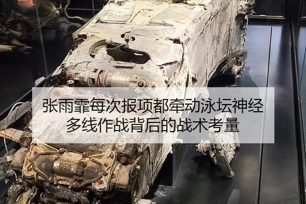张雨霏每次报项都牵动泳坛神经 多线作战背后的战术考量
